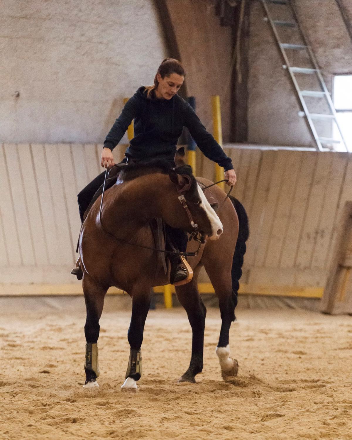 2017 Clinic initiation au Reining