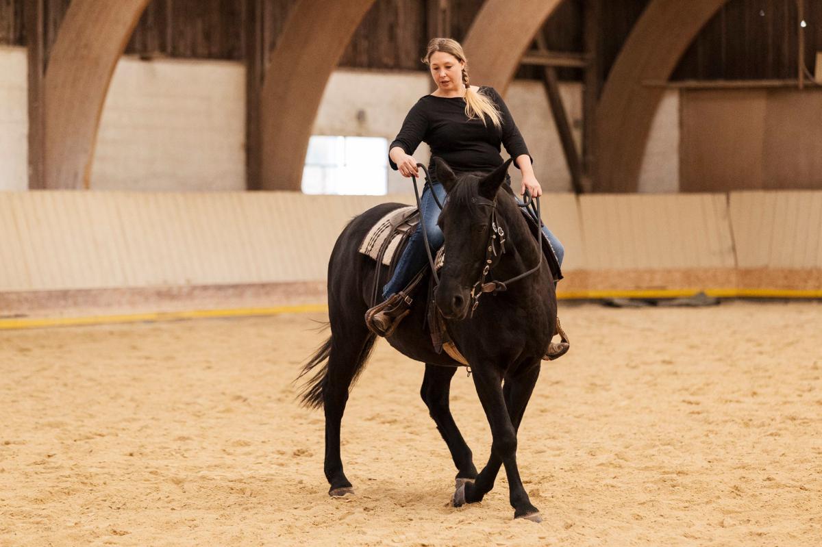 2017 Clinic initiation au Reining