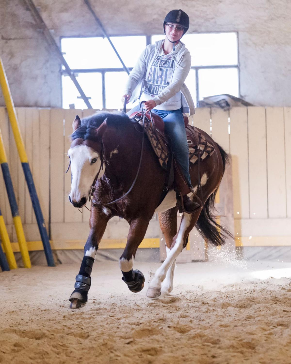 2017 Clinic initiation au Reining