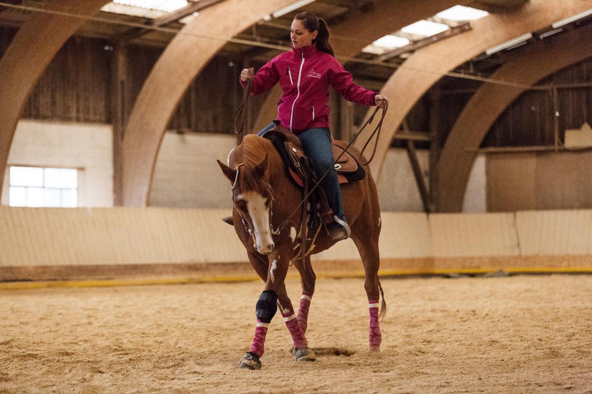 2017 Clinic initiation au Reining