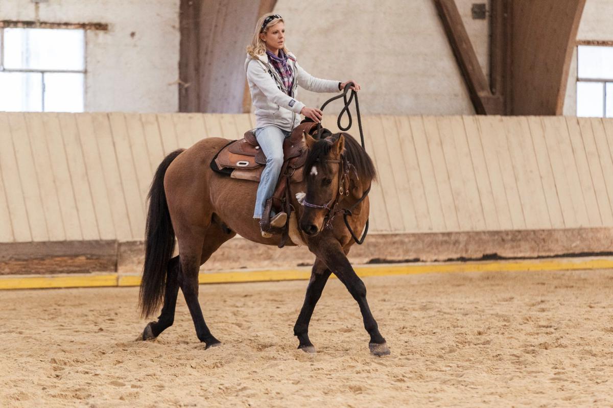 2017 Clinic initiation au Reining