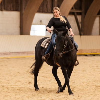 2017 Clinic initiation au Reining