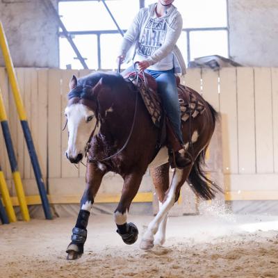 2017 Clinic initiation au Reining