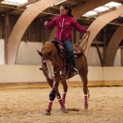 2017 Clinic initiation au Reining