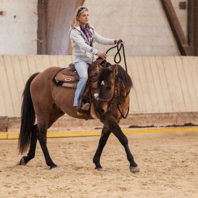2017 Clinic initiation au Reining