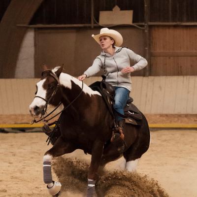 2017 Clinic initiation au Reining