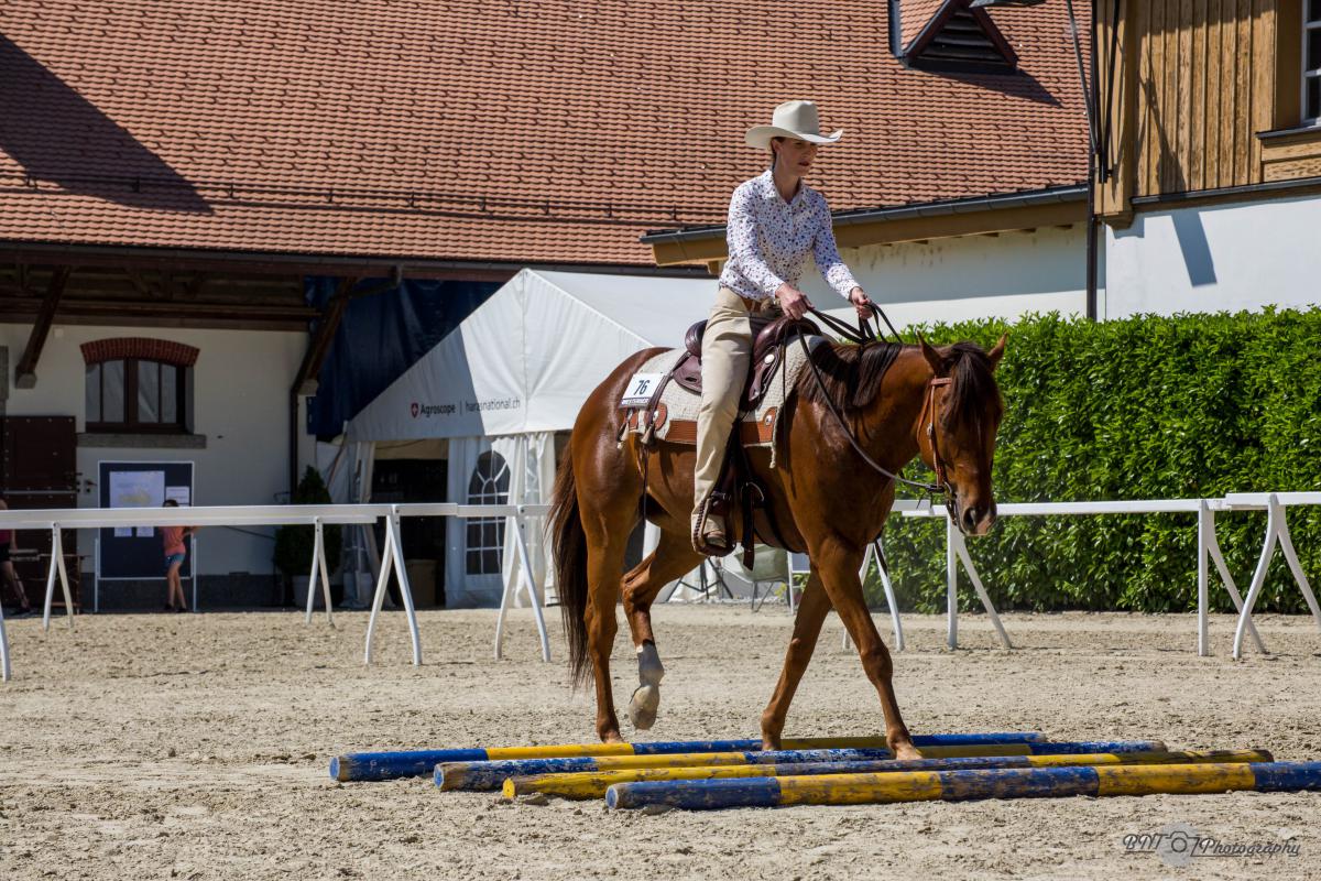 2017 SWRA Show Avenches