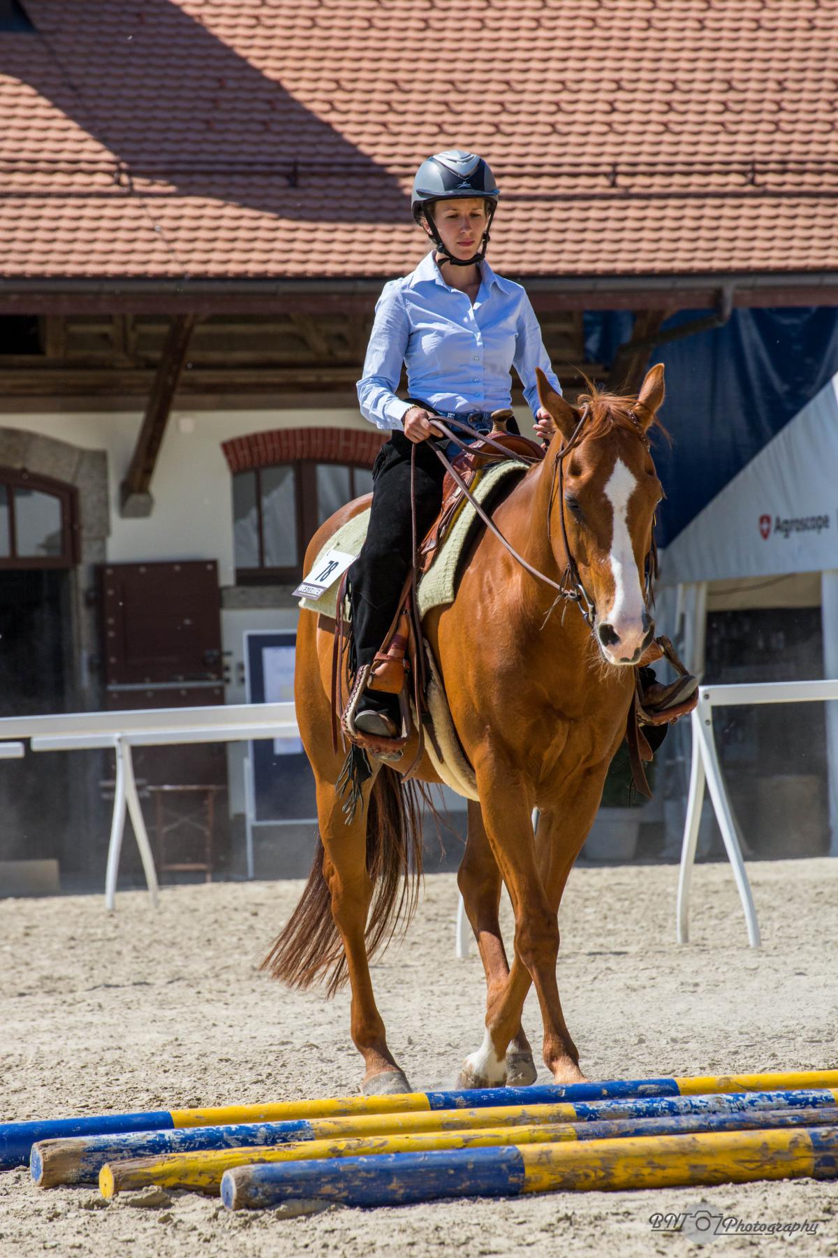 2017 SWRA Show Avenches