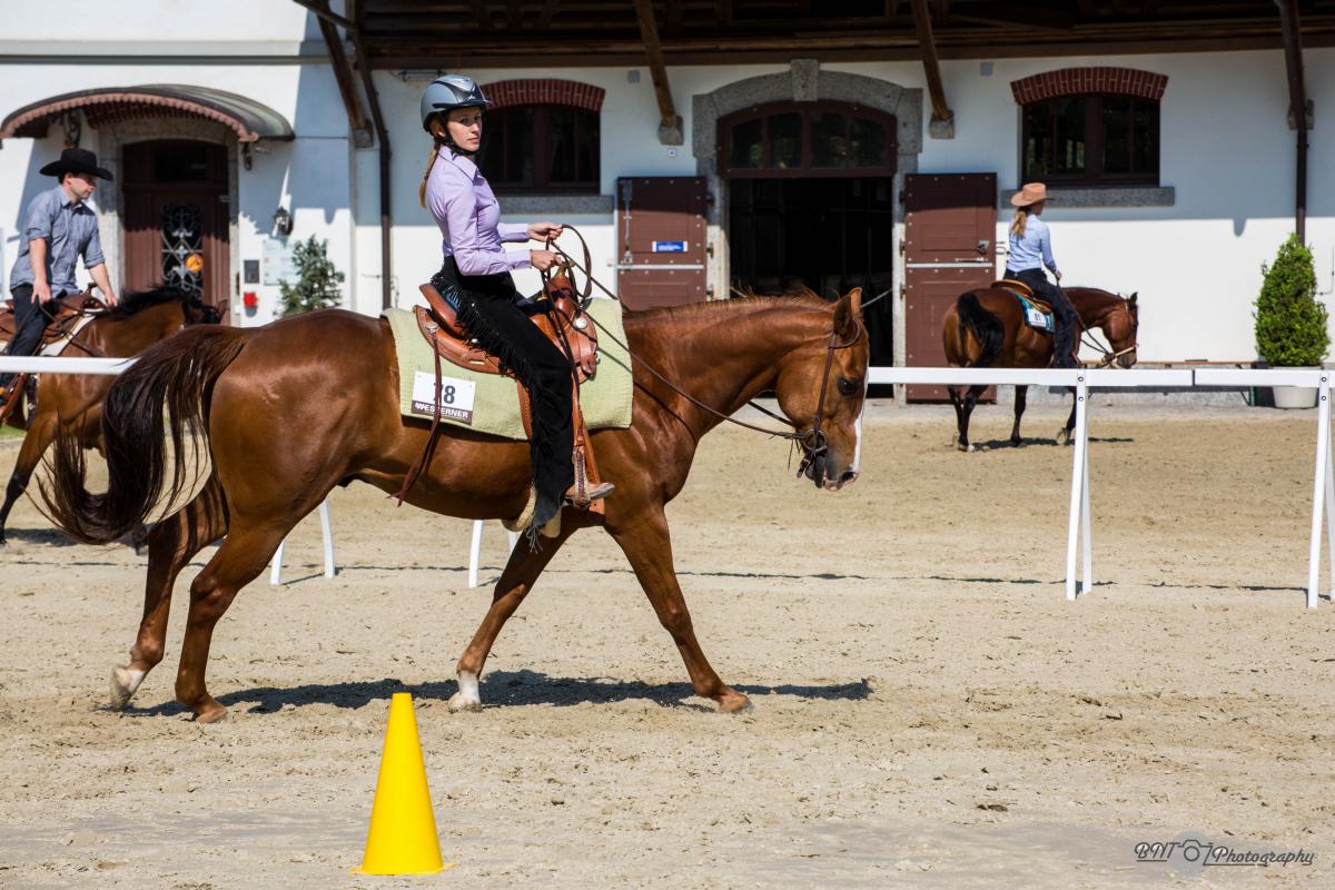 2017 SWRA Show Avenches