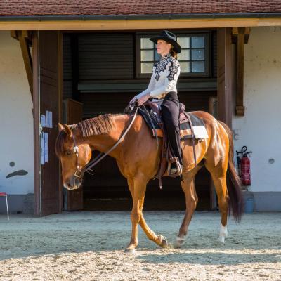2017 SWRA Show Avenches