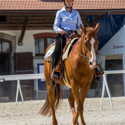 2017 SWRA Show Avenches