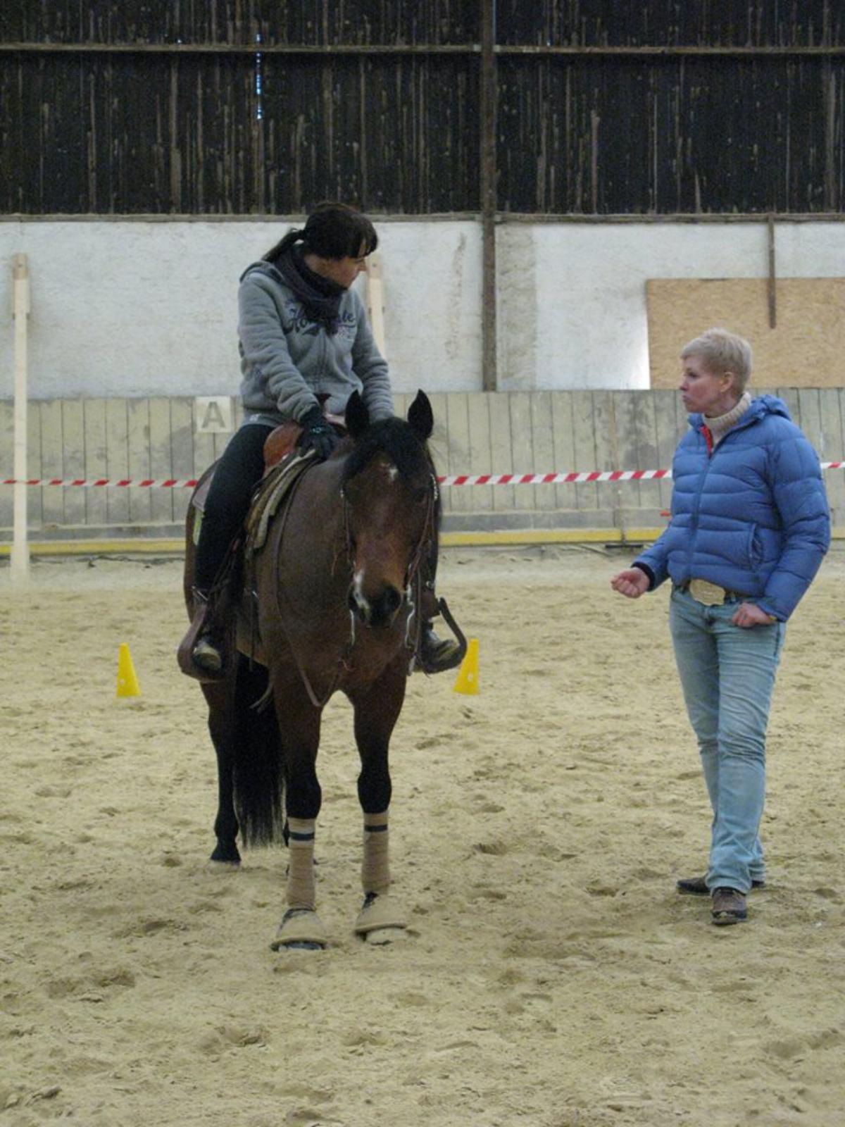 2018 Manuela Witt Clinic