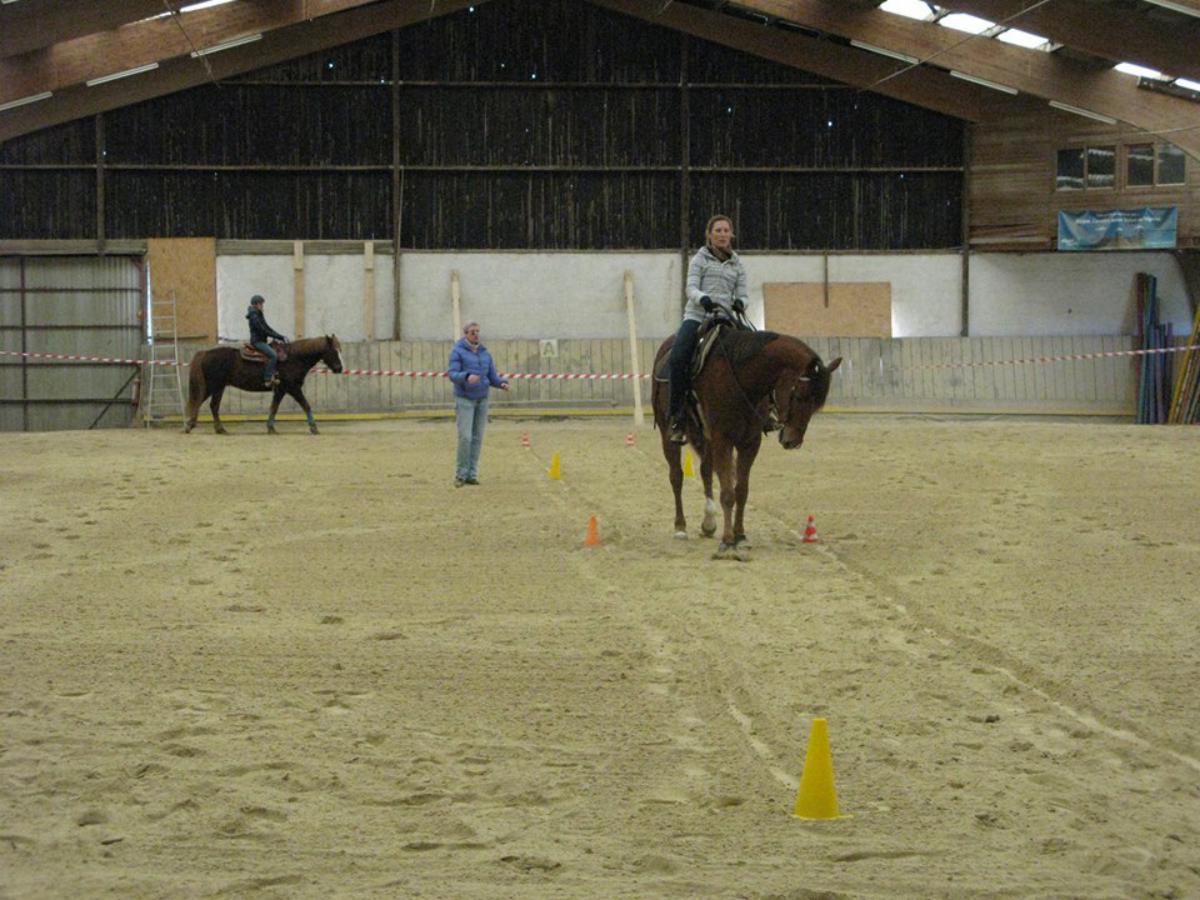 2018 Manuela Witt Clinic