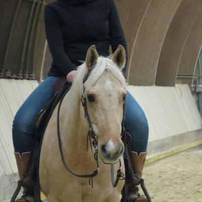 2018 Manuela Witt Clinic