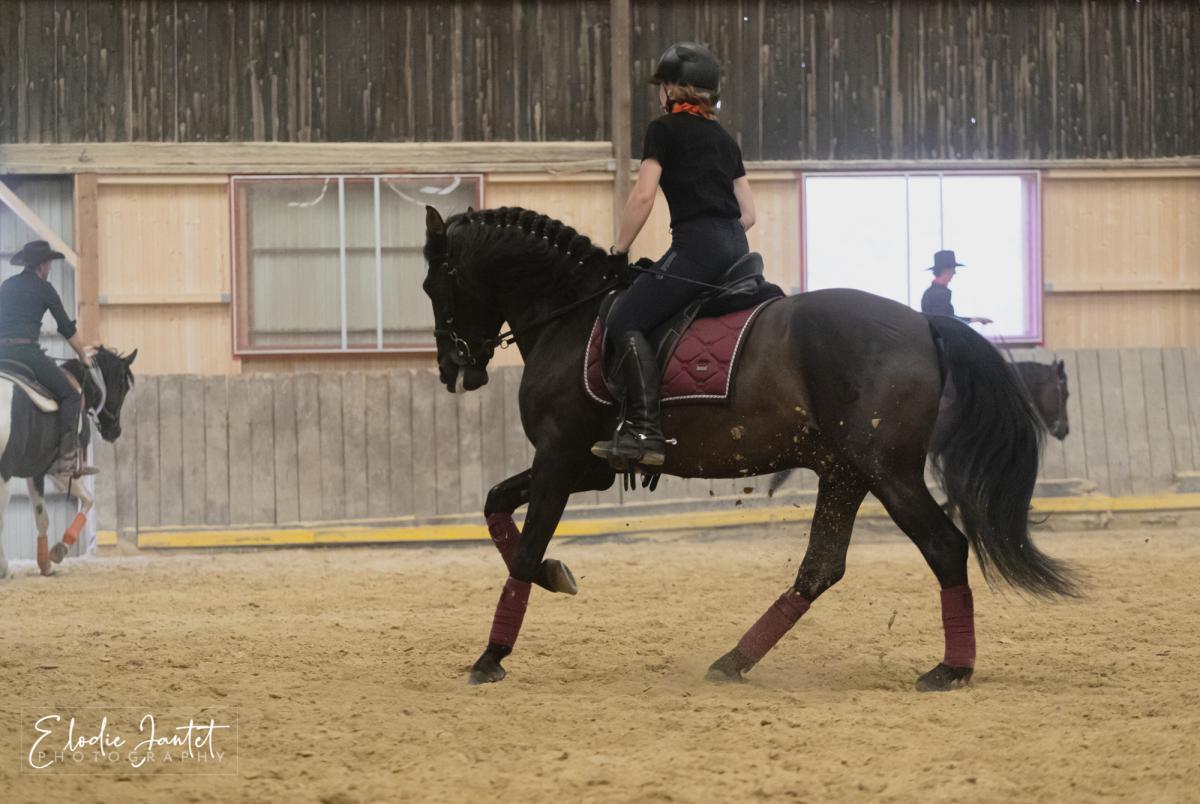 2019 portes ouvertes