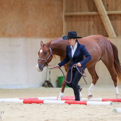 2019 Swiss Futurity